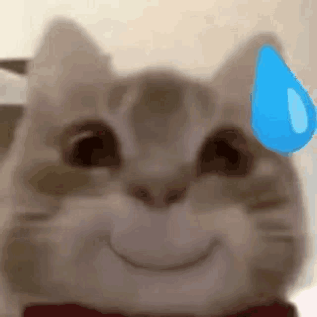 a close up of a cat 's face with a blue sweat drop on its forehead .