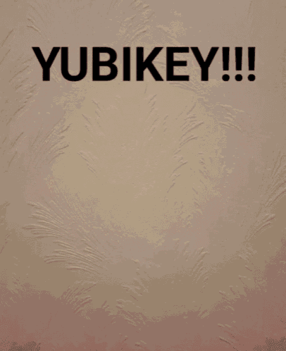 Yubi Yubikey GIF - Yubi Yubikey GIFs