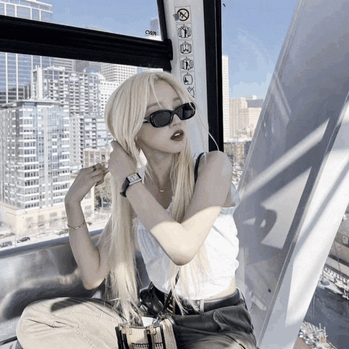 a woman wearing sunglasses sits on a ferris wheel with a sign that says cnr on it