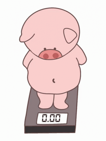 Heo51kg Pig GIF - Heo51kg Pig Weighing GIFs