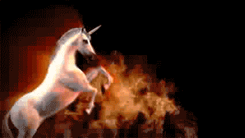 Casual GIF - Unicorns Flames Fire GIFs
