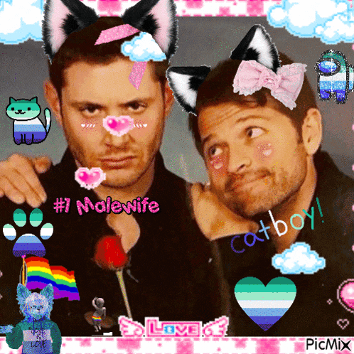 a picture of two men with cat ears and the words # 1 malewife and catboy
