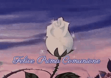 a cartoon of a white rose with the words felice prima communione written below it