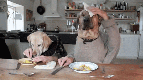 two dogs are sitting at a table with their heads on plates of food .