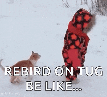 a child is standing in the snow next to a cat and says `` rebird on tug be like '' .