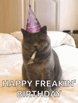 Birthday Cat GIF - Birthday Cat Happy Birthday GIFs