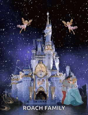 cinderella and prince charming are dancing in front of a castle with roach family written on the bottom