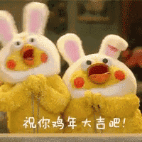 two stuffed chickens dressed as bunny rabbits are standing next to each other .