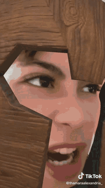 a woman wearing a wooden helmet with a tiktok watermark on the bottom