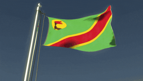 a green red and yellow flag with the letter f on it is flying in the wind