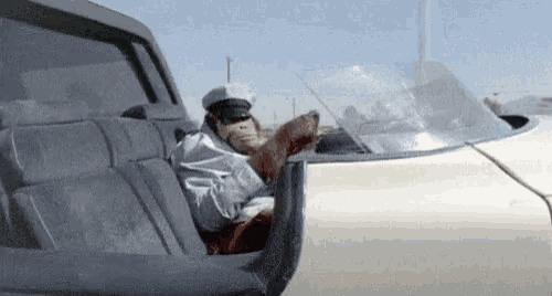 a monkey is sitting in the back seat of a vehicle