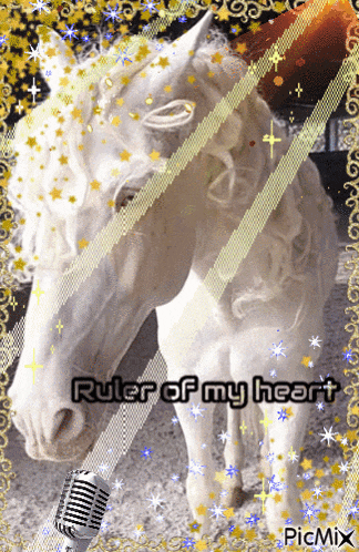 a picture of a white horse with the words ruler of my heart written on it