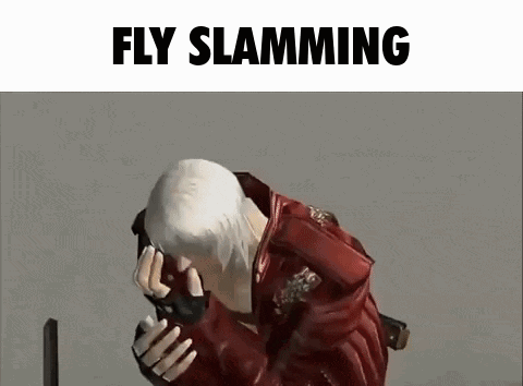 Fly Slamming Fly Banging GIF - Fly Slamming Fly Banging Fly Bang GIFs