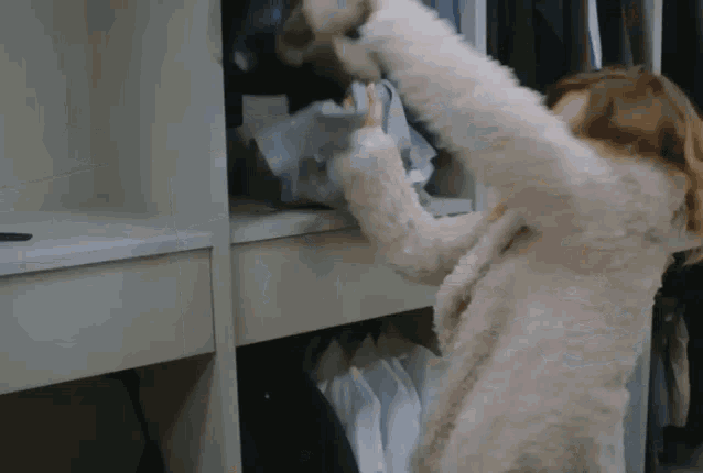 a woman in a fur coat is reaching into a closet for a shirt .