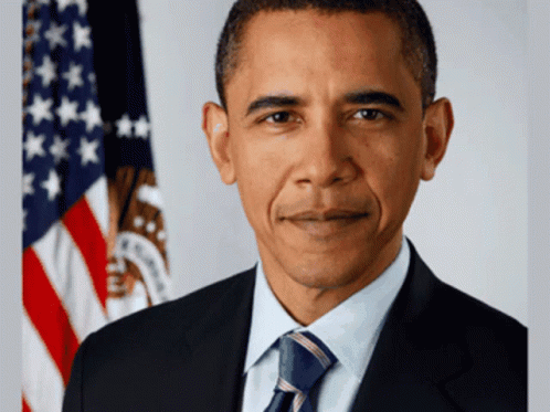 Barack Obama Adam Katz GIF - Barack Obama Adam Katz Inanimate Insanity GIFs