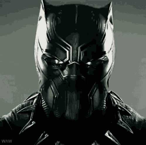 a close up of a black panther 's face with a gray background