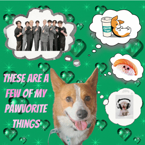 a picture of a dog with the words " these are a few of my pawworite things " on the bottom