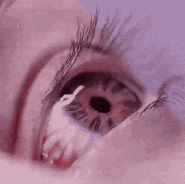 Spider Eye GIF - Spider Eye Scary GIFs