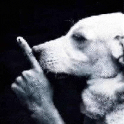 a black and white photo of a dog giving the middle finger