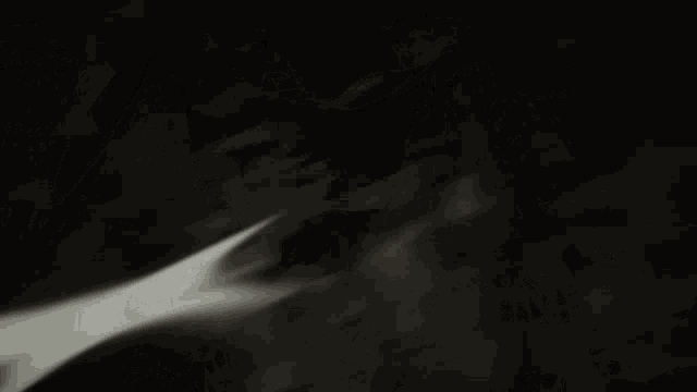 a black and white photo of a leaf 's shadow on a wall