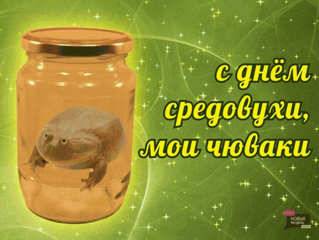 a picture of a frog in a jar that says " cdnem " on it