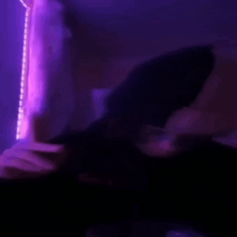 кишлак GIF