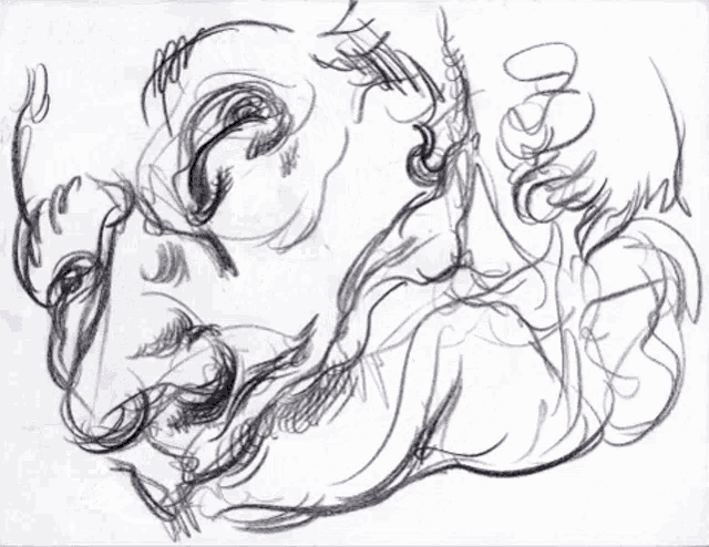 a black and white drawing of a person 's face with a lot of hair