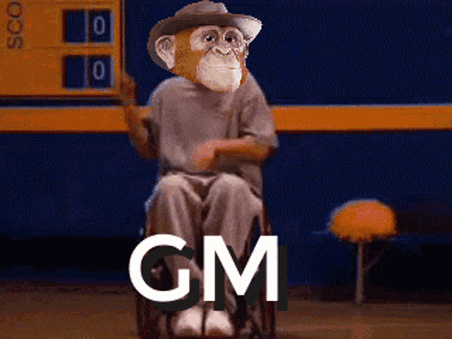 a monkey wearing a cowboy hat is sitting in a wheelchair with the word gm written below him
