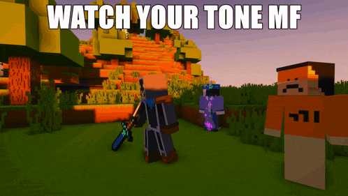 a screenshot of a minecraft game with the words watch your tone mf