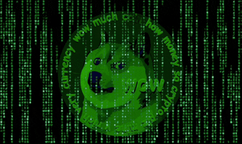 a green doge coin is surrounded by a matrix background