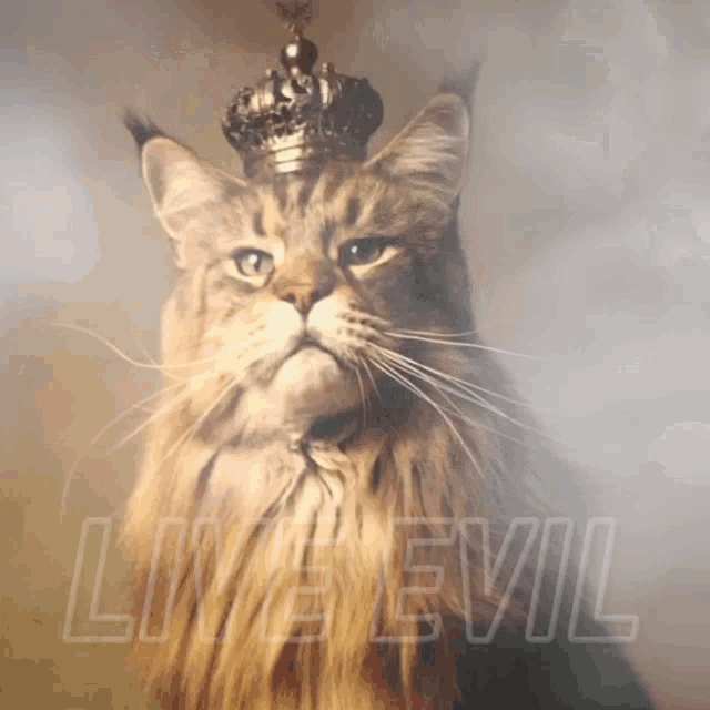 Liveevil King Cat GIF - Liveevil King Cat GIFs