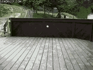 a gif of a cat catching a ball on a wooden deck