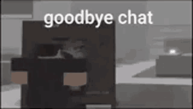 a video of a person saying goodbye chat in a video game .