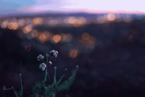 a blurry picture of a field with a city in the background