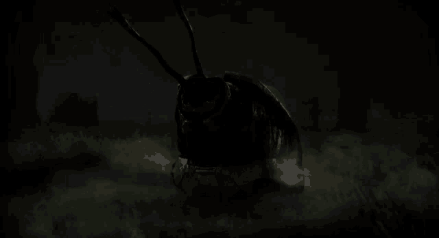 a bug is crawling in the dark with a car behind it