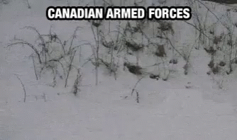 Canadian Canadian Armed Forces GIF - Canadian Canadian Armed Forces Rifle GIFs
