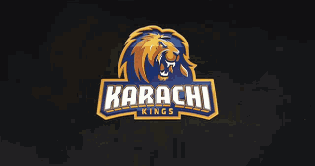 Pakistan Pakistan Super League GIF - Pakistan Pakistan Super League Karachi GIFs