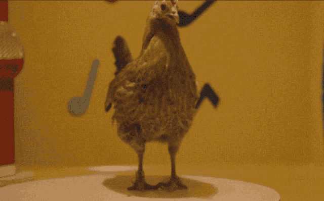 a chicken standing on one leg in front of a clock