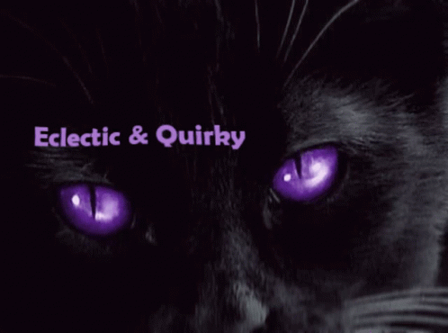 Sam Butters Purple Cat GIF - Sam Butters Purple Cat Witches Cat GIFs