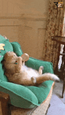 a cat is laying on a green chair playing with a bottle