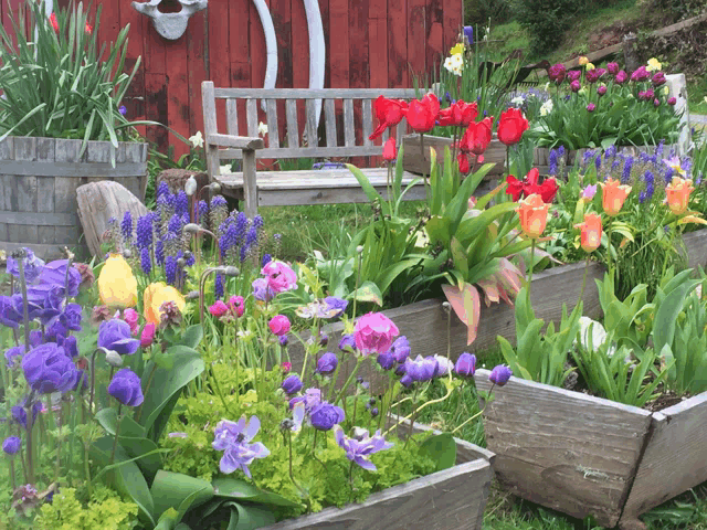 a wooden bench sits in a garden surrounded by purple and pink flowers