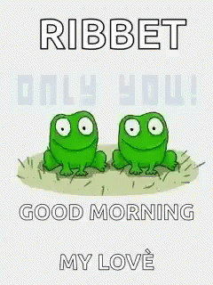 Good Morning Frogs GIF