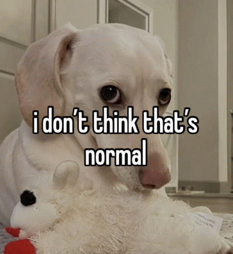 Not Normal GIF - Not Normal Gif GIFs