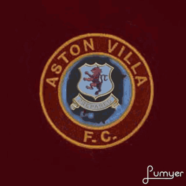 Aston Villa GIF - Aston Villa GIFs