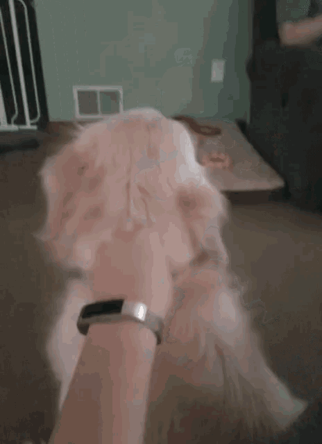 a person wearing a smart watch holds a dog 's head