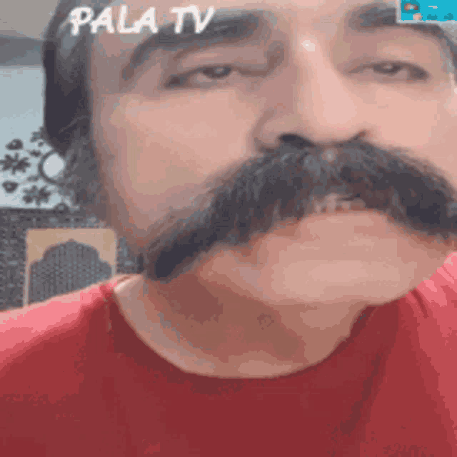 a man with a mustache and beard is wearing a red shirt and looking at the camera .