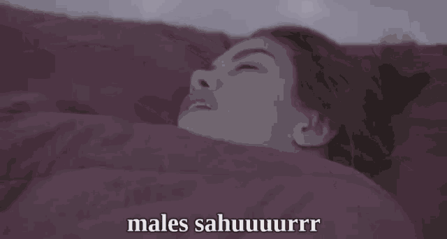 a person is sleeping in a bed with a purple blanket and a caption that says males sahuuurrr .