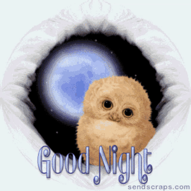 a picture of an owl says good night