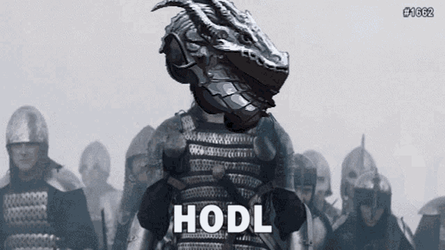 a man in armor with a dragon head and the word hodl on his chest