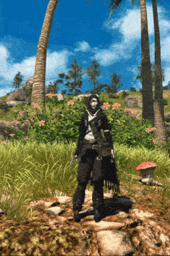 a person standing in a field with palm trees
